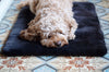 Travel Dog Bed Shearling