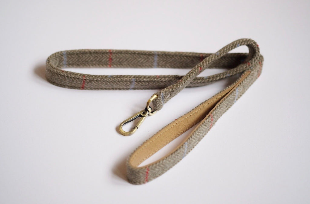 Tweed Dog Leash Sage