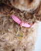 Round Brass Dog Tag - Cursive